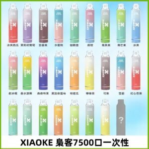 梟客XIAOKE|7500口可發光拋棄式電子煙 跑馬燈一次性